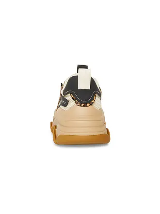 STEVE MADDEN | Sneaker POSSESSION-E | braun